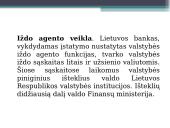 Centrinis bankas skaidrės 20 puslapis