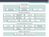 Centrinis bankas skaidrės 9 puslapis