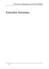 Performance Management and Reward Report 2 puslapis