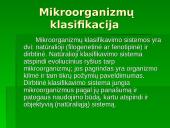 Technologiškai maisto pramonei svarbūs ir indikatoriniai mikroorganizmai 3 puslapis