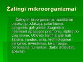 Technologiškai maisto pramonei svarbūs ir indikatoriniai mikroorganizmai 6 puslapis