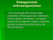 Technologiškai maisto pramonei svarbūs ir indikatoriniai mikroorganizmai 7 puslapis