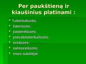 Technologiškai maisto pramonei svarbūs ir indikatoriniai mikroorganizmai 9 puslapis