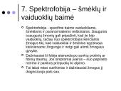 Fobijos skaidrės 18 puslapis