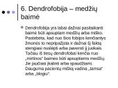 Fobijos skaidrės 20 puslapis