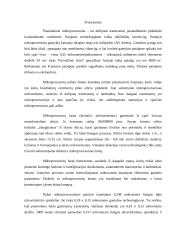 Procesoriai referatas 4 puslapis