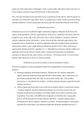 Procesoriai referatas 5 puslapis