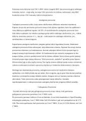 Procesoriai referatas 9 puslapis