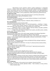 Mineralai konspektas 2 puslapis