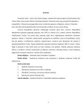 Finansinio turto įvertinimas ir apskaita „“ įmonėje 3 puslapis