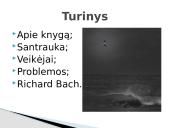 Richard Bach. Džonatanas Livingstonas Žuvėdra 2 puslapis