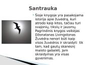 Richard Bach. Džonatanas Livingstonas Žuvėdra 4 puslapis