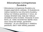 Richard Bach. Džonatanas Livingstonas Žuvėdra 7 puslapis