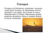 Richard Bach. Džonatanas Livingstonas Žuvėdra 9 puslapis