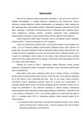 Langų sandarinimo įmonės verslo planas 2 puslapis