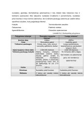 Langų sandarinimo įmonės verslo planas 11 puslapis