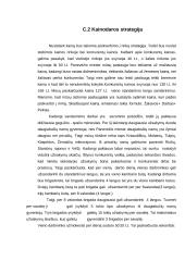 Langų sandarinimo įmonės verslo planas 13 puslapis