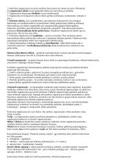 Konspektai vadybai 2 puslapis