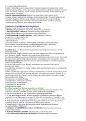 Konspektai vadybai 13 puslapis