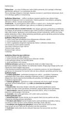 Konspektai vadybai 14 puslapis