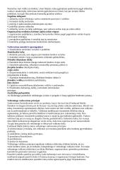 Konspektai vadybai 15 puslapis