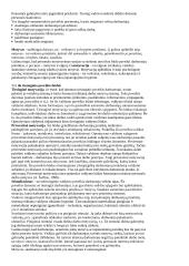 Konspektai vadybai 16 puslapis