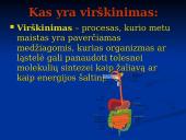 Virškinimo ligos skaidrės 2 puslapis