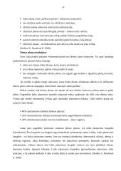 Vadovo darbo diena x įmonėje 12 puslapis