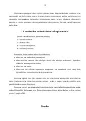 Vadovo darbo diena x įmonėje 18 puslapis