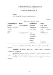 IĮ „Sąsiuvinis“ įmonės rinkodaros analizė 13 puslapis