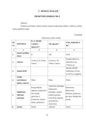 IĮ „Sąsiuvinis“ įmonės rinkodaros analizė 16 puslapis