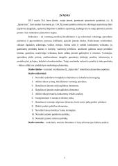 IĮ „Sąsiuvinis“ įmonės rinkodaros analizė 3 puslapis