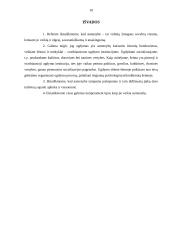 Asmenybės ugdymo svarba 10 puslapis