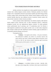 Atsinaujinanti energetika: vėjo energetika 7 puslapis