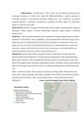 Kauno rajono savivaldybės Domeikavos seniūnijos Padaugupio kaimo žemės konsolidacijos projektas 10 puslapis