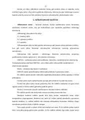 Įmonės finansinė atskaitomybė 12 puslapis