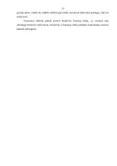 Įmonės finansinė atskaitomybė 13 puslapis