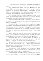 Įmonės finansinė atskaitomybė 5 puslapis