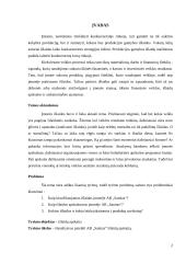 Išlaidų apskaitos įmonėje AB „SANITAS“ ypatumai ir gerinimo galimybės 2 puslapis