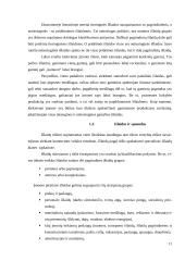 Išlaidų apskaitos įmonėje AB „SANITAS“ ypatumai ir gerinimo galimybės 11 puslapis