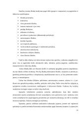 Išlaidų apskaitos įmonėje AB „SANITAS“ ypatumai ir gerinimo galimybės 14 puslapis