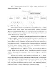 Išlaidų apskaitos įmonėje AB „SANITAS“ ypatumai ir gerinimo galimybės 19 puslapis