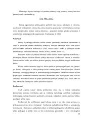 Išlaidų apskaitos įmonėje AB „SANITAS“ ypatumai ir gerinimo galimybės 20 puslapis