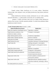 Išlaidų apskaitos įmonėje AB „SANITAS“ ypatumai ir gerinimo galimybės 8 puslapis