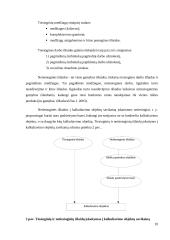 Išlaidų apskaitos įmonėje AB „SANITAS“ ypatumai ir gerinimo galimybės 10 puslapis