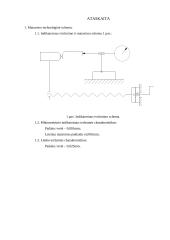Limbu nustatomo matmens paklaidos radimas 2 puslapis