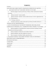 „Žaliosios kortelės“ draudimo sistema 2 puslapis