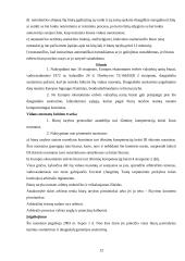 „Žaliosios kortelės“ draudimo sistema 12 puslapis