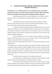 „Žaliosios kortelės“ draudimo sistema 13 puslapis