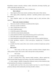 „Žaliosios kortelės“ draudimo sistema 19 puslapis